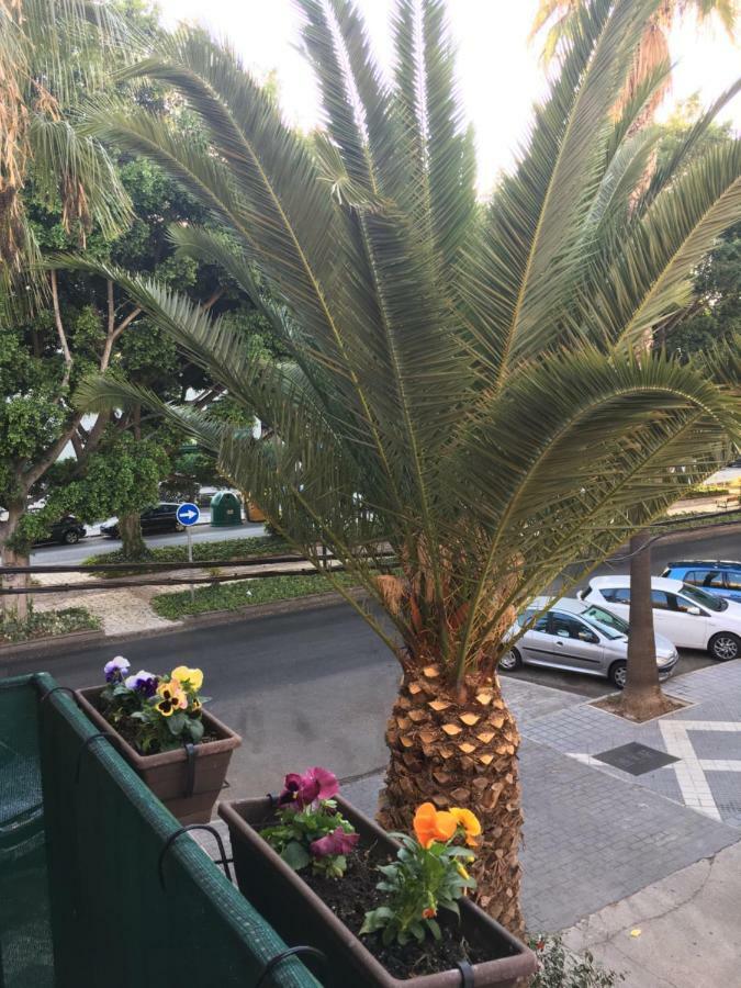 Appartamento New & Parking Alcazaba